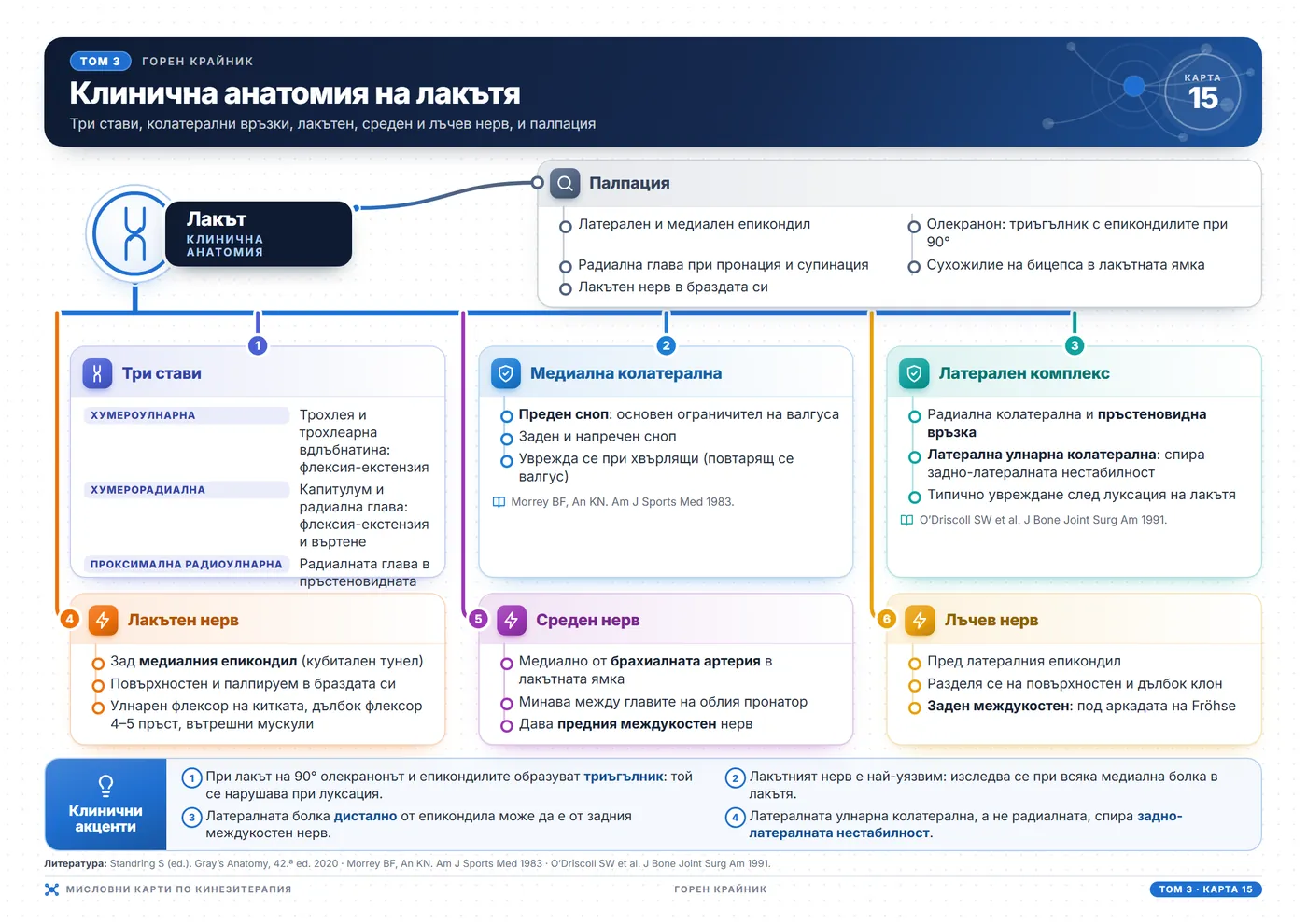 Мисловни карти по кинезитерапия: Клинична анатомия на лакътя