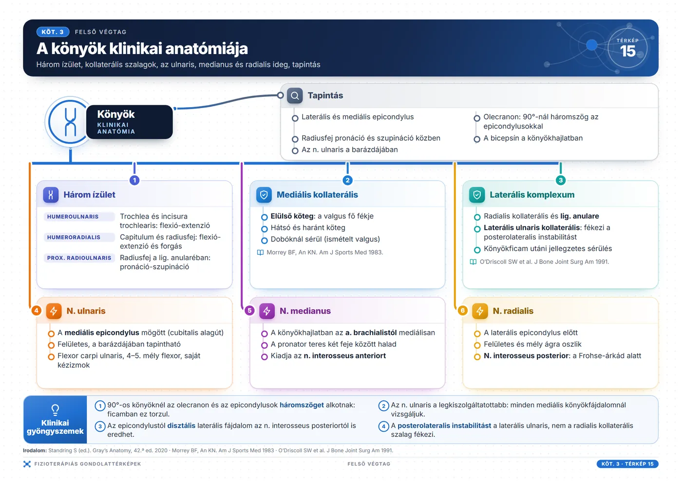 Fizioterápiás gondolattérképek: A könyök klinikai anatómiája