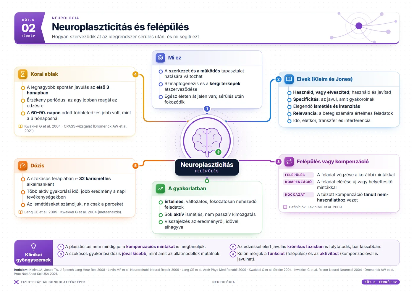 Fizioterápiás gondolattérképek: Neuroplaszticitás és felépülés
