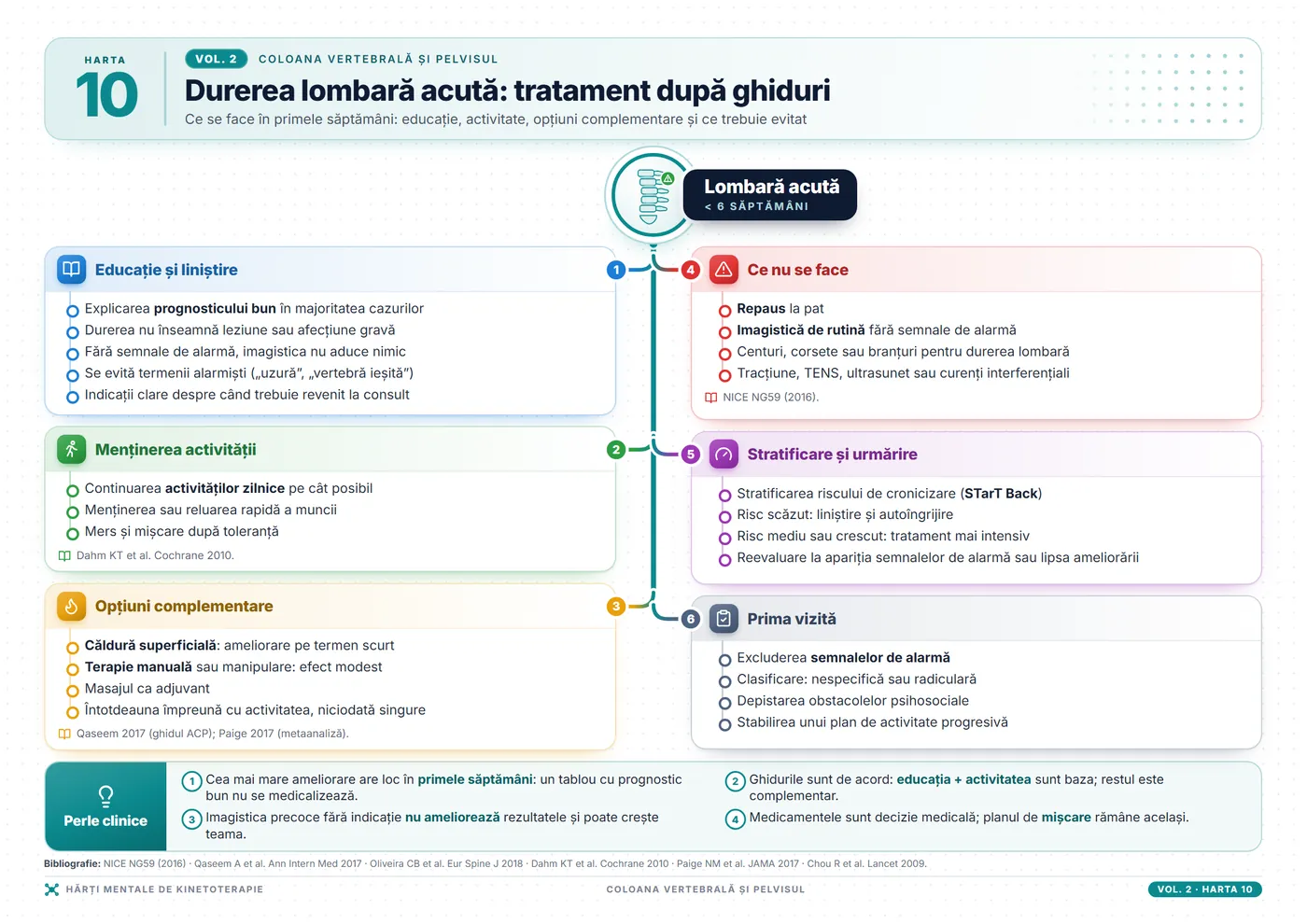 Hărți mentale de kinetoterapie: Lombalgia acută: tratament conform ghidurilor