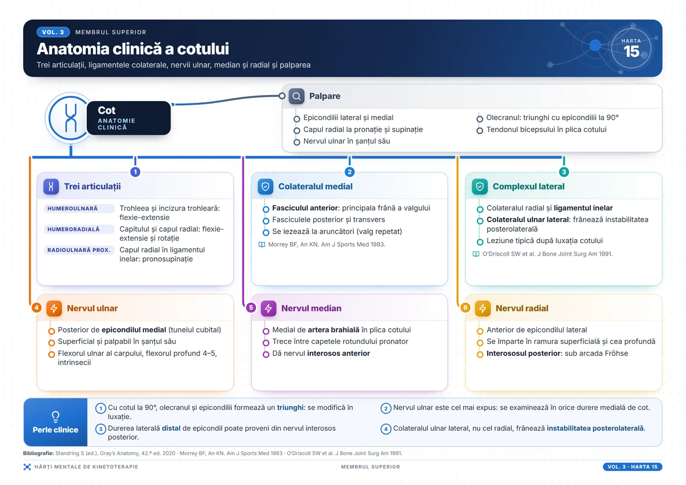 Hărți mentale de kinetoterapie: Anatomia clinică a cotului