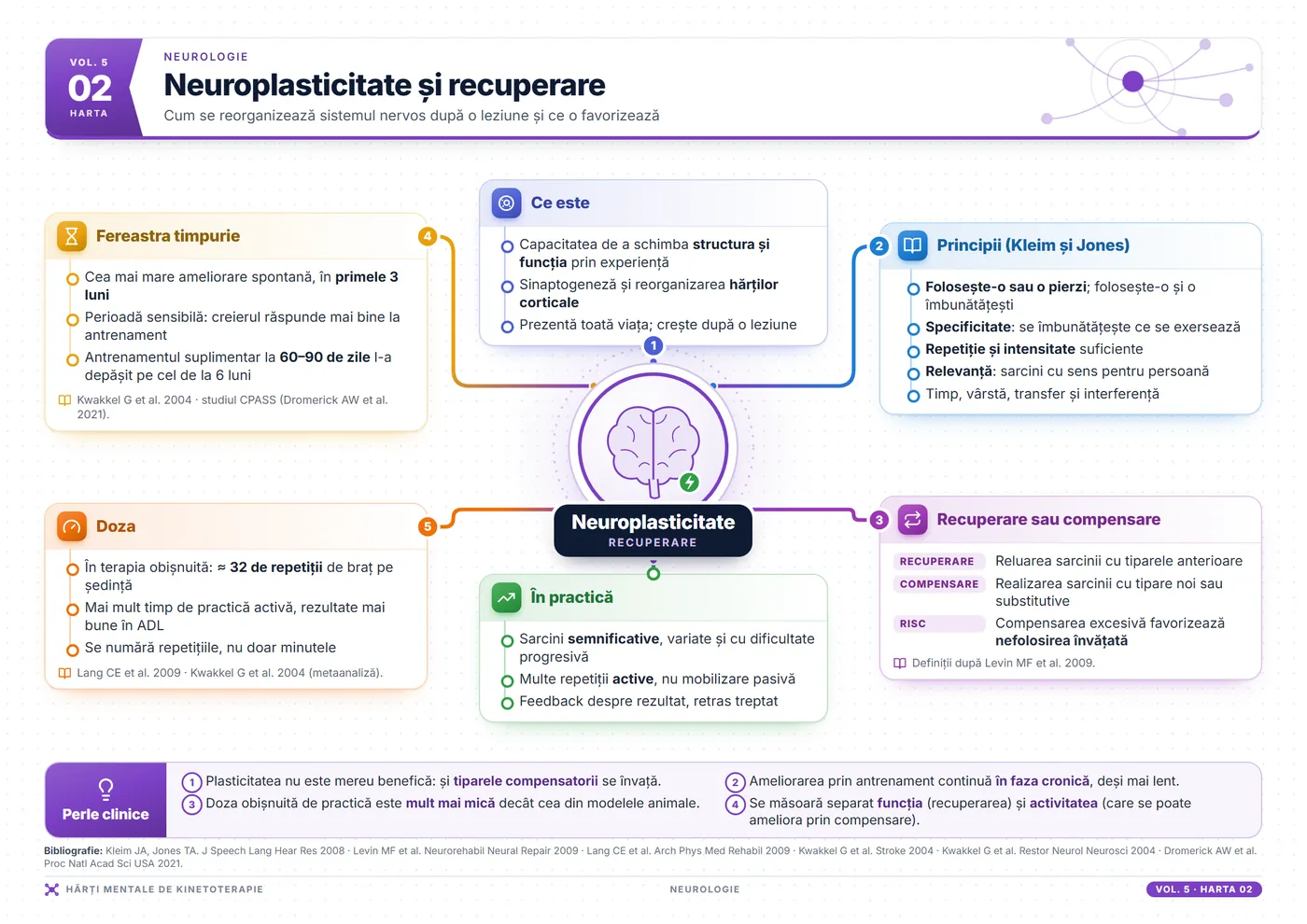 Hărți mentale de kinetoterapie: Neuroplasticitate și recuperare