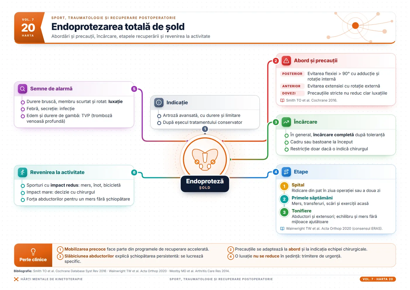 Hărți mentale de kinetoterapie: Proteza totală de șold