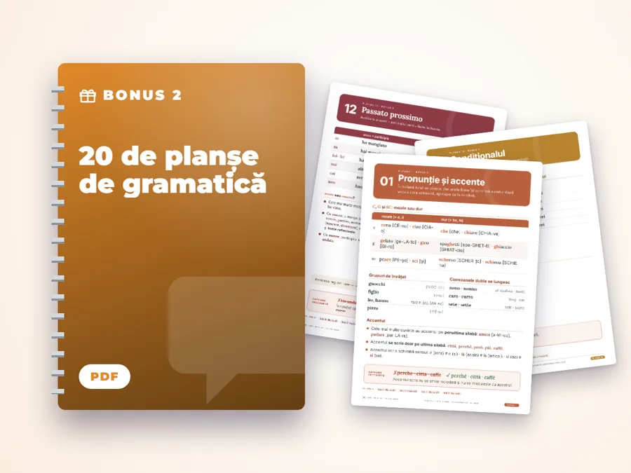 20 de planșe de gramatică