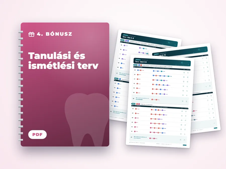 Tanulási és ismétlési terv