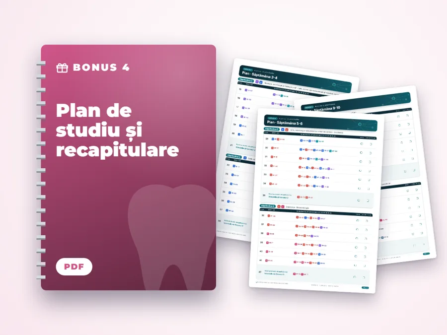 Plan de studiu și recapitulare
