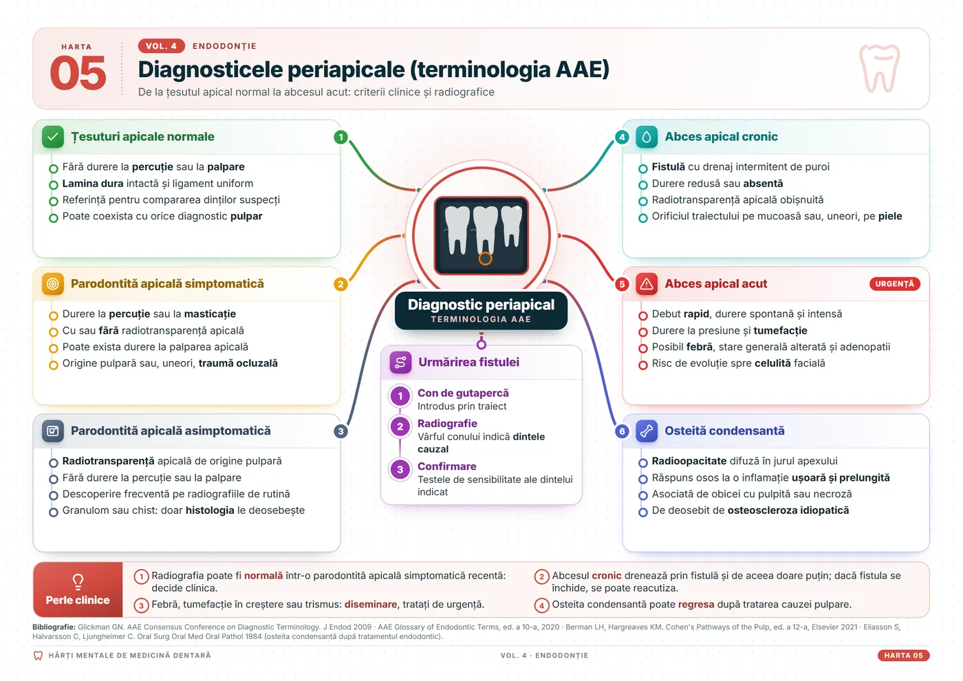 Hărți mentale de stomatologie: Diagnosticele periapicale